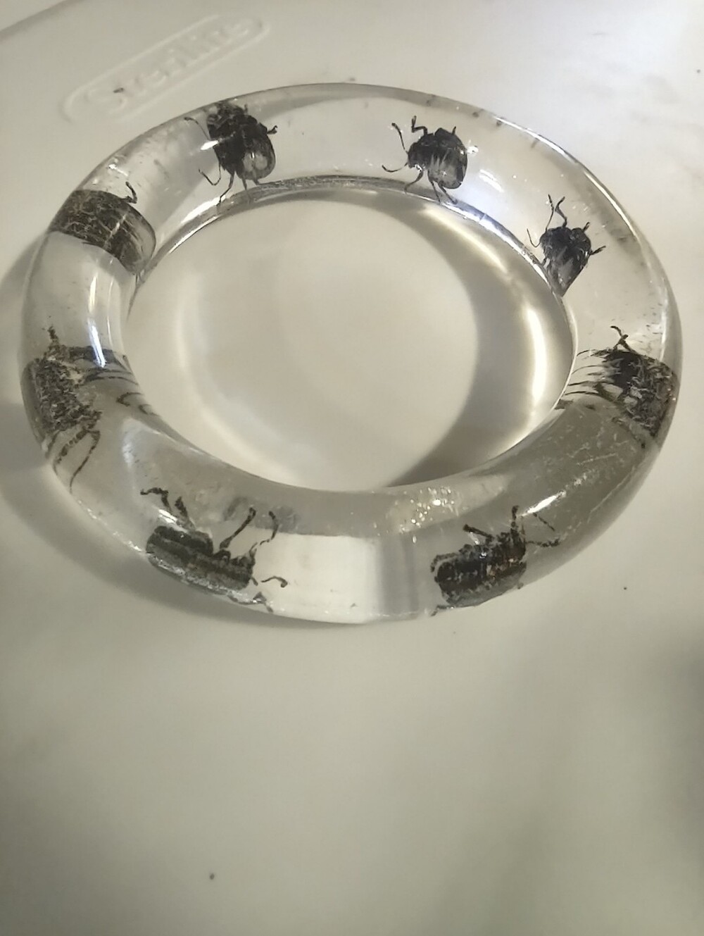 Clear Resin Beetle Bracelet Décor - Unbranded